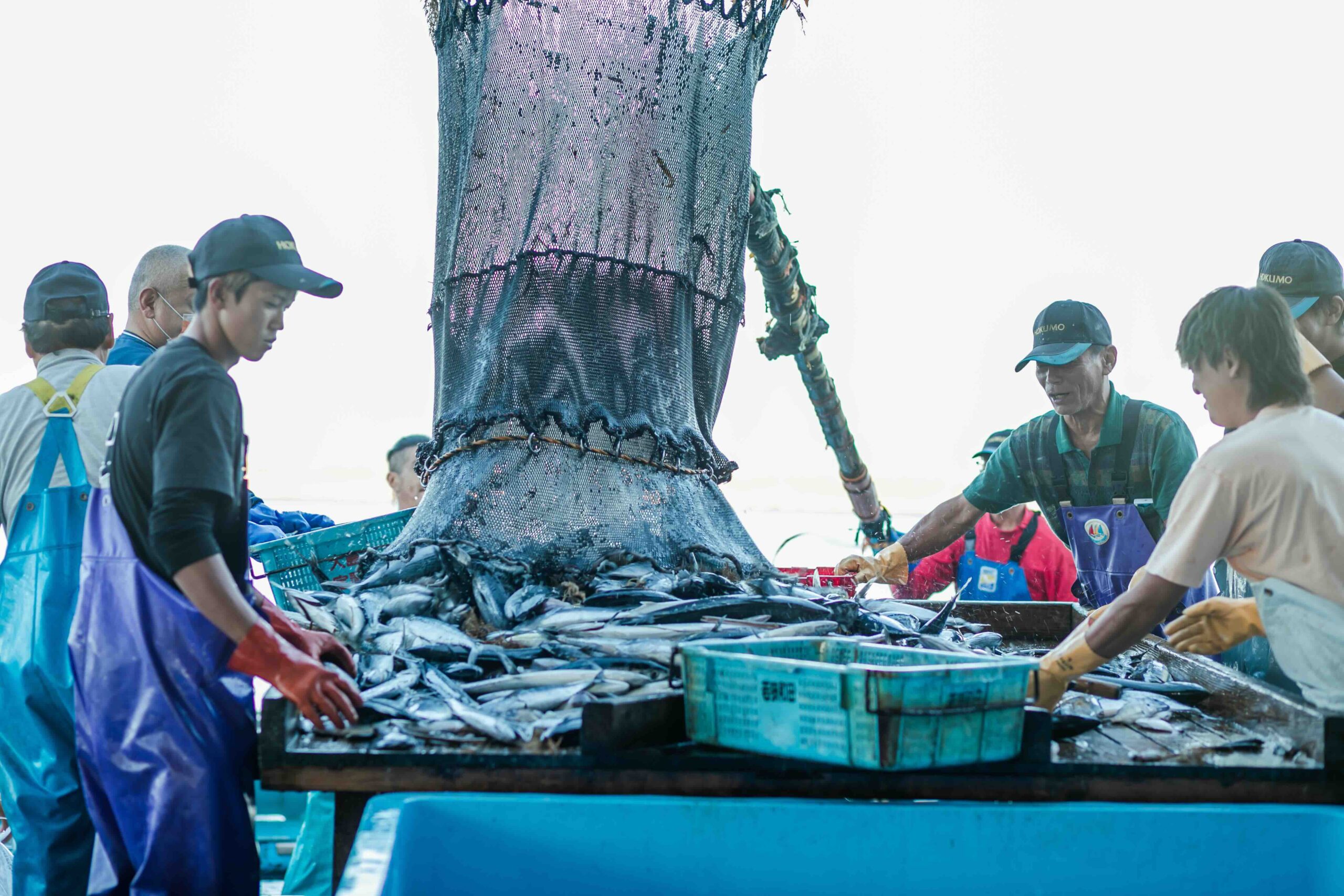 都の食文化を支え続けるまち